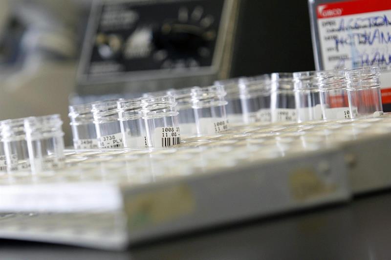  A UNAM projeta novas tÃ©cnicas para combater a resistÃªncia a antibiÃ³ticos