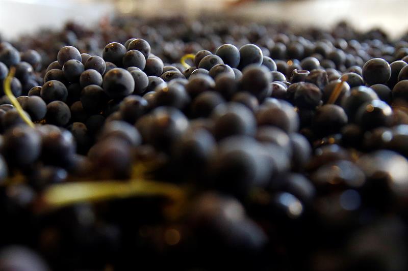  O Chile atravessa a Europa o poder vitivinÃ­cola de suas tensÃµes patrimoniais
